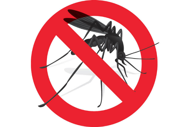 6 e 7 maggio: disinfestazione dalle zanzare 